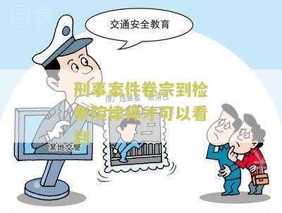 卷宗到后律师能不能看卷宗信息、内容、真假？