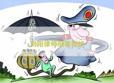 浏阳律师刑事辩护费多少钱