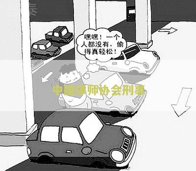 中华全国律师协会刑事专业委员会委员、地址、主任