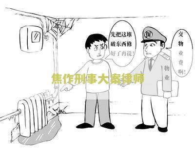 作刑事大案律师