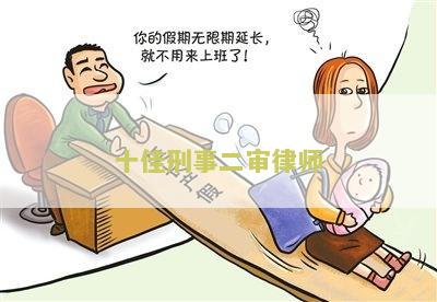 十佳刑事二审律师
