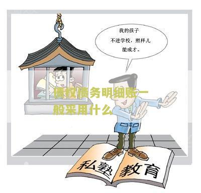 债权债务明细账的格式一般采用什么账簿