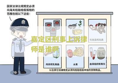 嘉定区刑事上诉律师是谁啊多少钱，一个月