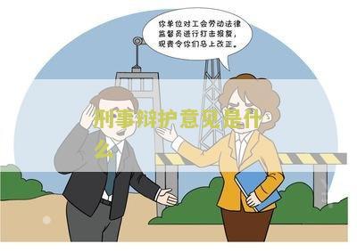 刑事辩护意见是什么