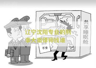 沈阳刑事案件最牛律师排名
