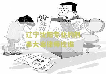 辽沈阳刑事案件律师免费咨寻电话：揭秘当地刑事案件，提供免费法律咨询服务