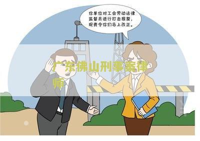 广东佛山刑事案律师