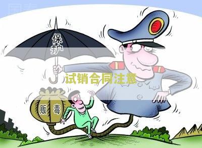 试销的步骤举例说明