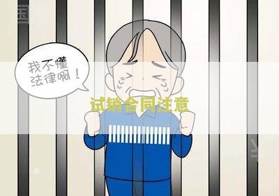 ‘试销期是什么意思’
