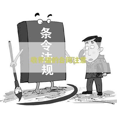 收养猫注意事及细节大全