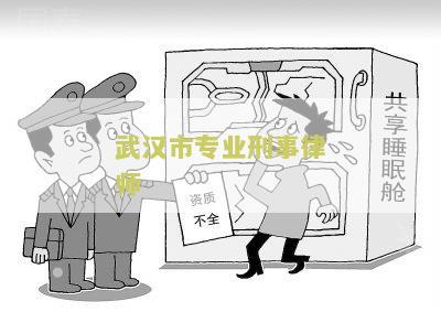 武汉市专业刑事律师协会官网、会长和地址