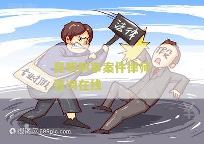 昆明刑事案件律师咨询在线电话及权威事务所