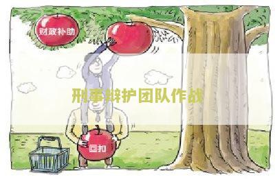 刑事辩护团队作战方案设计及名称模板