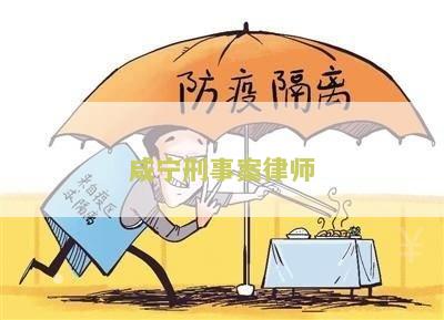 咸宁刑事案律师