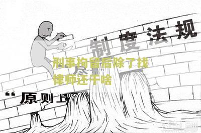 刑事拘留后除了找律师还干啥