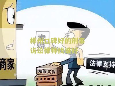 郴州口碑好的刑事诉讼律师找谁好