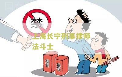 上海长刑事律师法斗士
