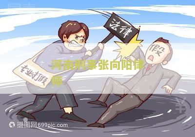 河南刑事张向阳律师 河南刑事张向阳律师