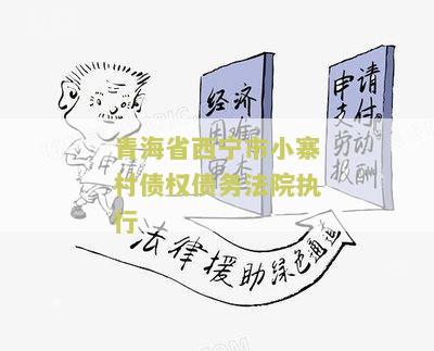 青海省西宁市小寨村债权债务法院执行