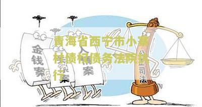 青海省西宁市小寨村债权债务法院执行