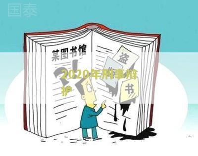 2020年刑事辩护