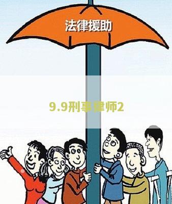 9.9刑事律师2