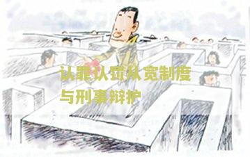 认罪认罚从宽制度的有效辩护