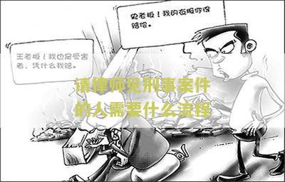 请律师见刑事案件的人需要什么流程