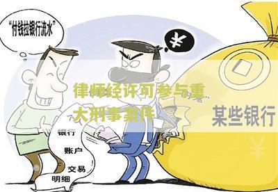 律师经许可参与重大刑事案件