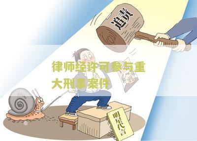 律师经许可参与重大刑事案件